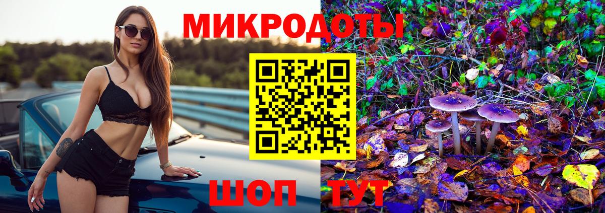 где купить   Галлюциногенные грибы Psilocybe  Вход с VPN  Чайковский 